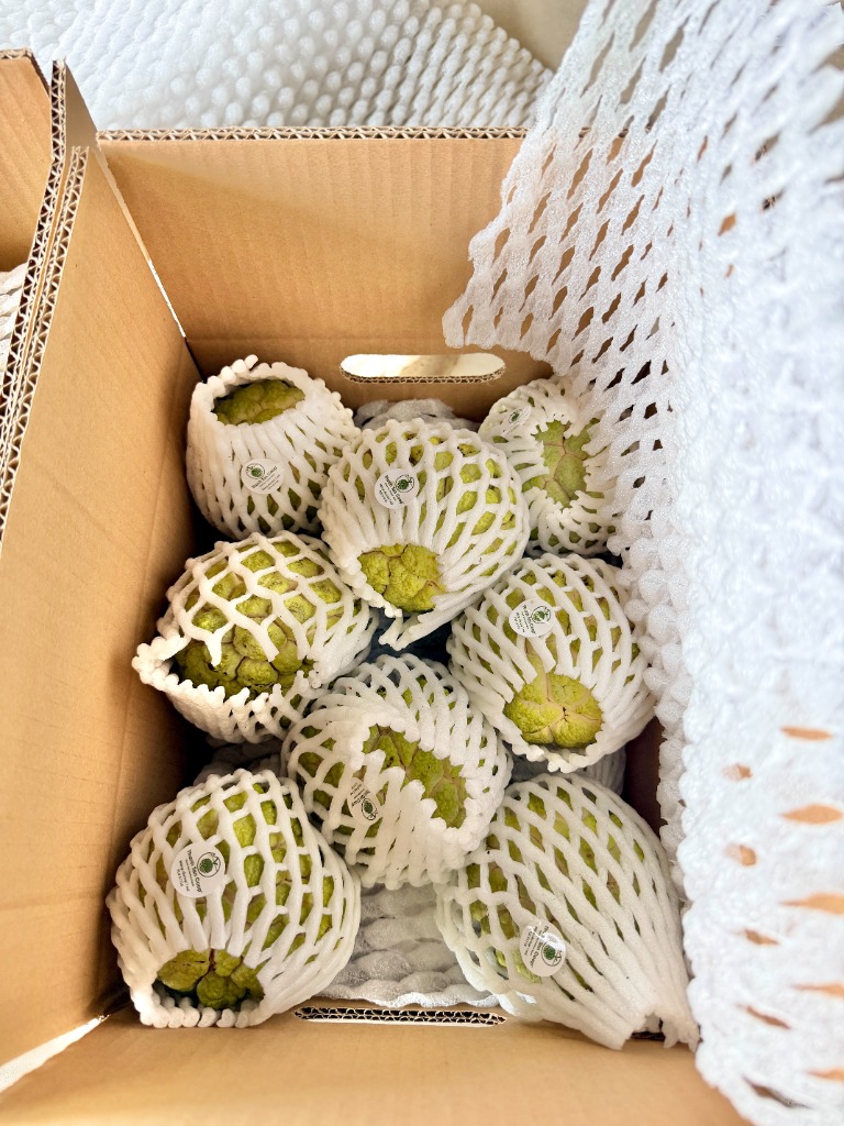 Quy cách đóng thùng carton mãng cầu Bà Đen TAYNA bọc xốp dán tem