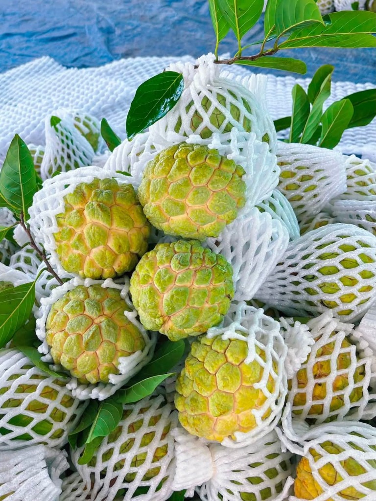 Mãng cầu bao lâu thì chín? Cách nhận biết mãng cầu chín ngon